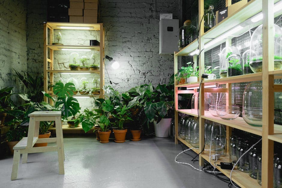 How to Grow Cannabis at Home: A Beginner's Step-by-Step Guide