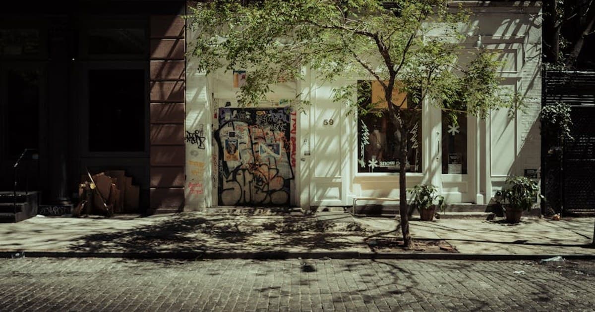 A quiet New York City street showing graffiti, trees, and shadows on a sunny day.