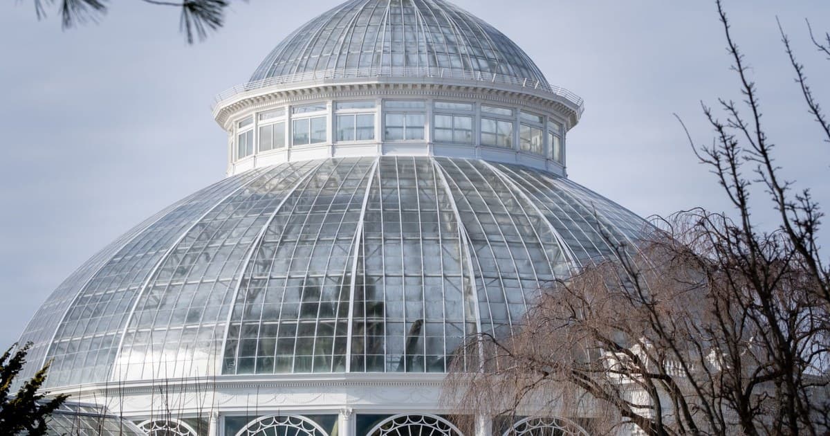 Stunning glass dome of a historic botanical garden in winter, showcasing architectural beauty.